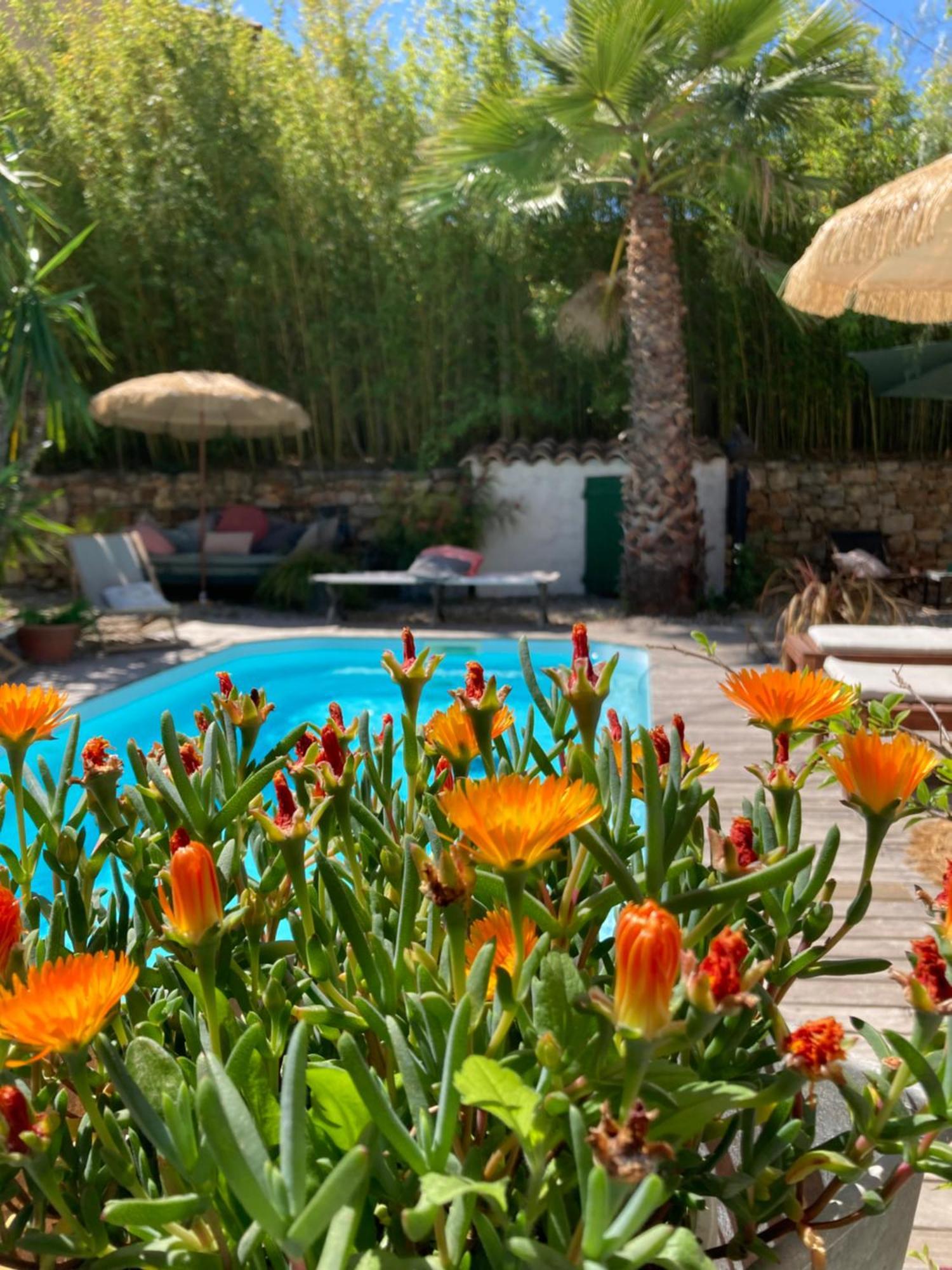 Maison D Hotes La Villa Madeleine Sanary-sur-Mer Luaran gambar